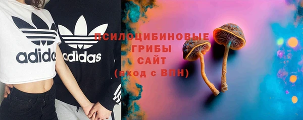 первитин Коряжма