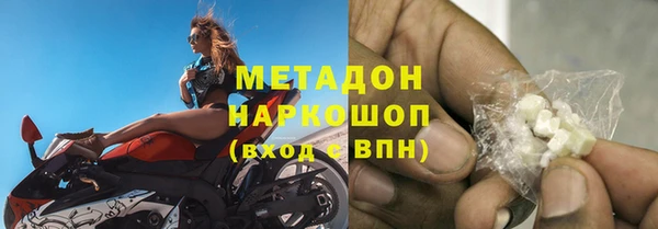 прущие грибы Алексеевка