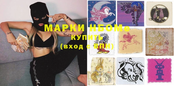индика Алзамай