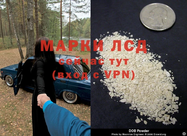 спиды Ельня