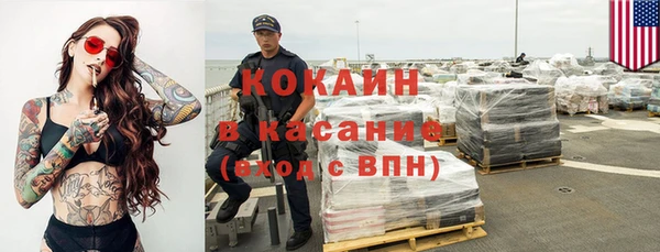 индика Алзамай